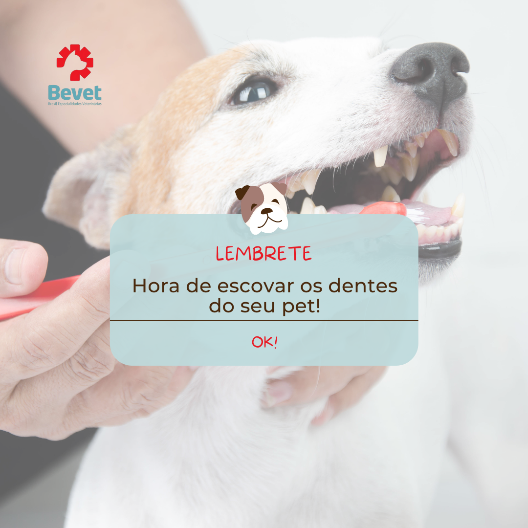 Bevet - Odonto - ATENÇÃO: post importante! Estamos aqui para te lembrar ...