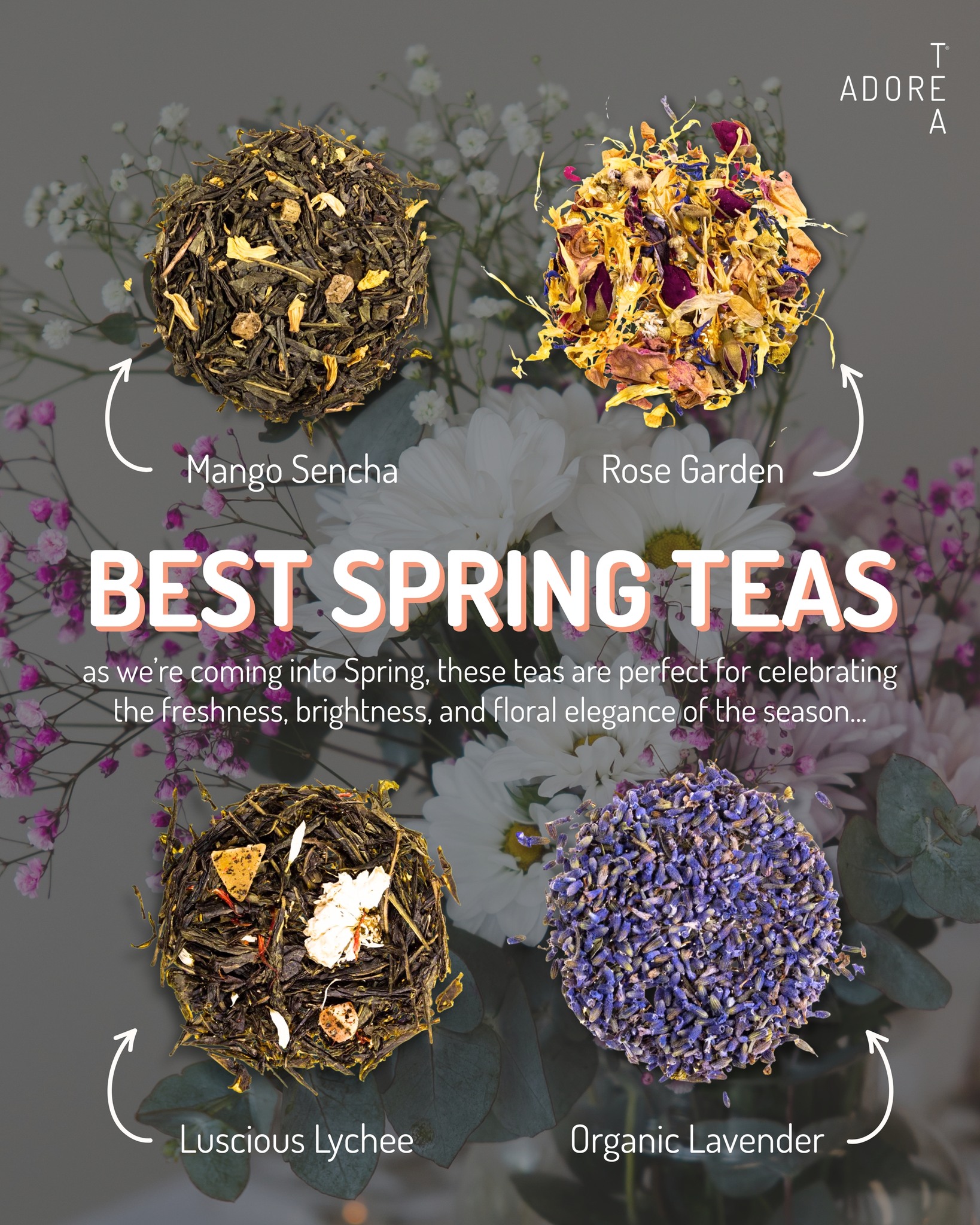 Adore Tea | Mitchell ACT
