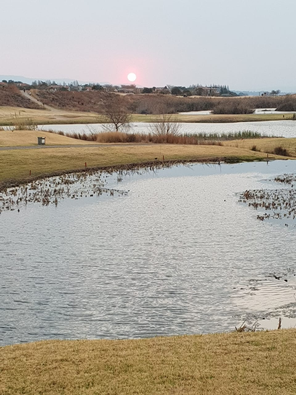 Nick Lambrou
