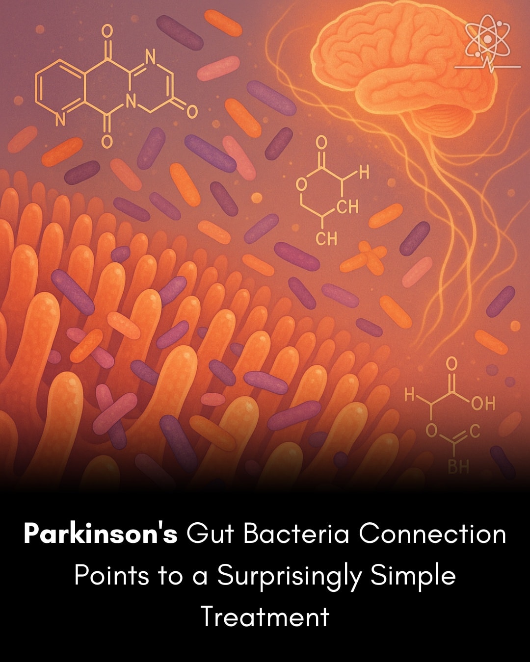 A higher intake of folate and vitamin B6 years before diagnosis of Parkinson's disease (PD) was associated with reduced risk for mortality, whereas intake after diagnosis provided no survival benefit, new research