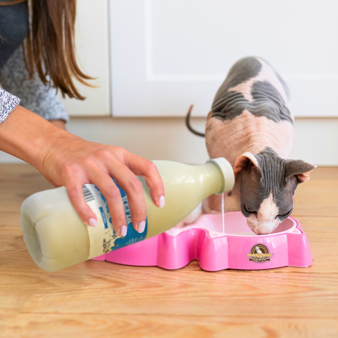 Doggobone - Did you know Kefir Milk is a superfood for your pets? Here's why it's paw-some: Gut ...