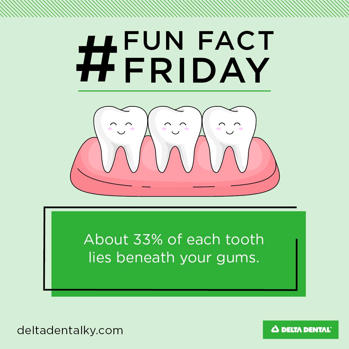 Delta - 😜 Fun Dental Fact Friday! 😜 About 33% of each tooth lies ...