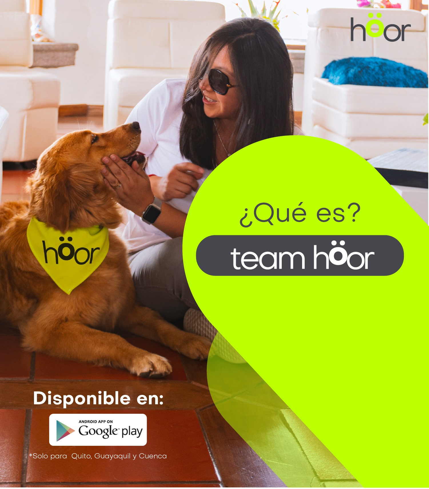 höor - 🐕 | Forma parte de nuestro equipo, búscanos en...