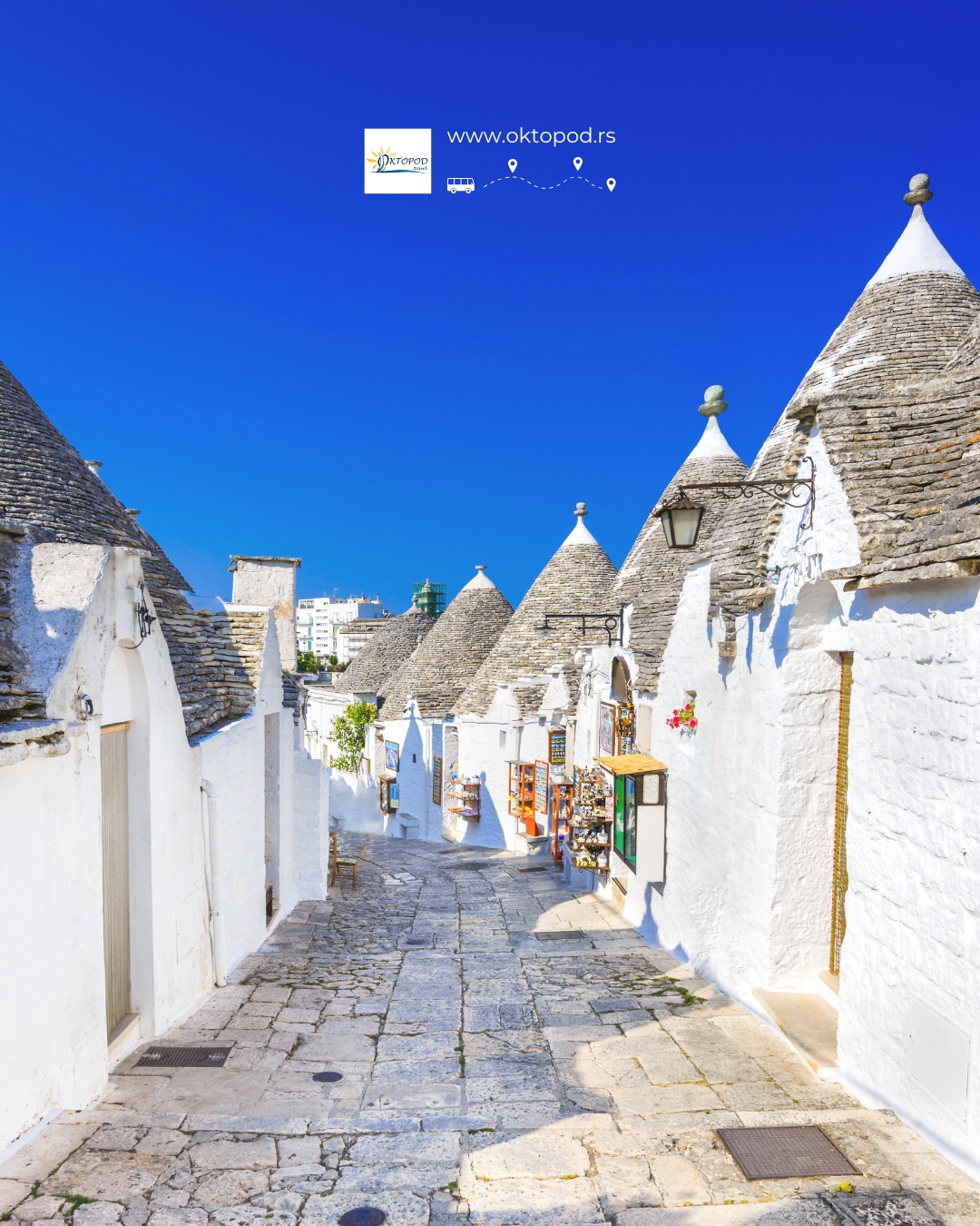 Oktopod Travel Turistička agencija