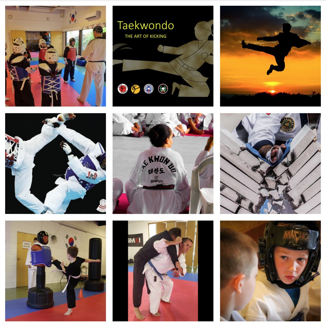Sandar IL Taekwondo Sandefjord | Sandefjord
