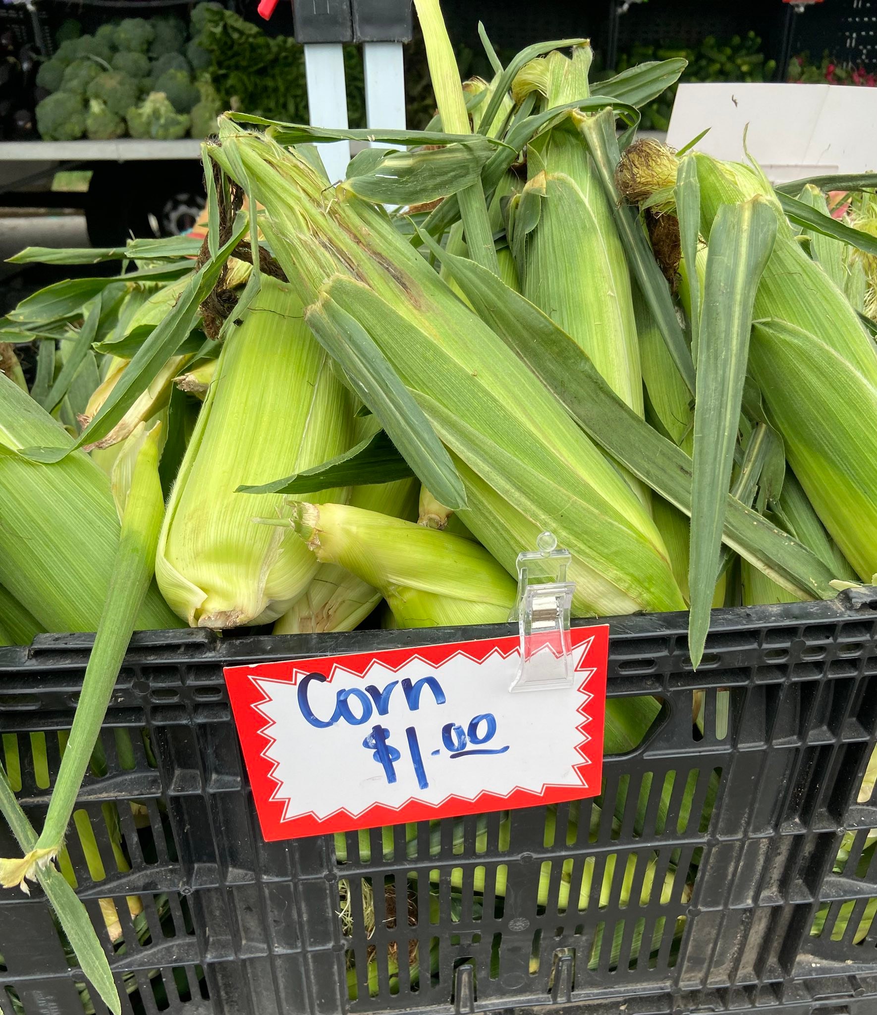 Park Ridge Farmers Market | Park Ridge IL