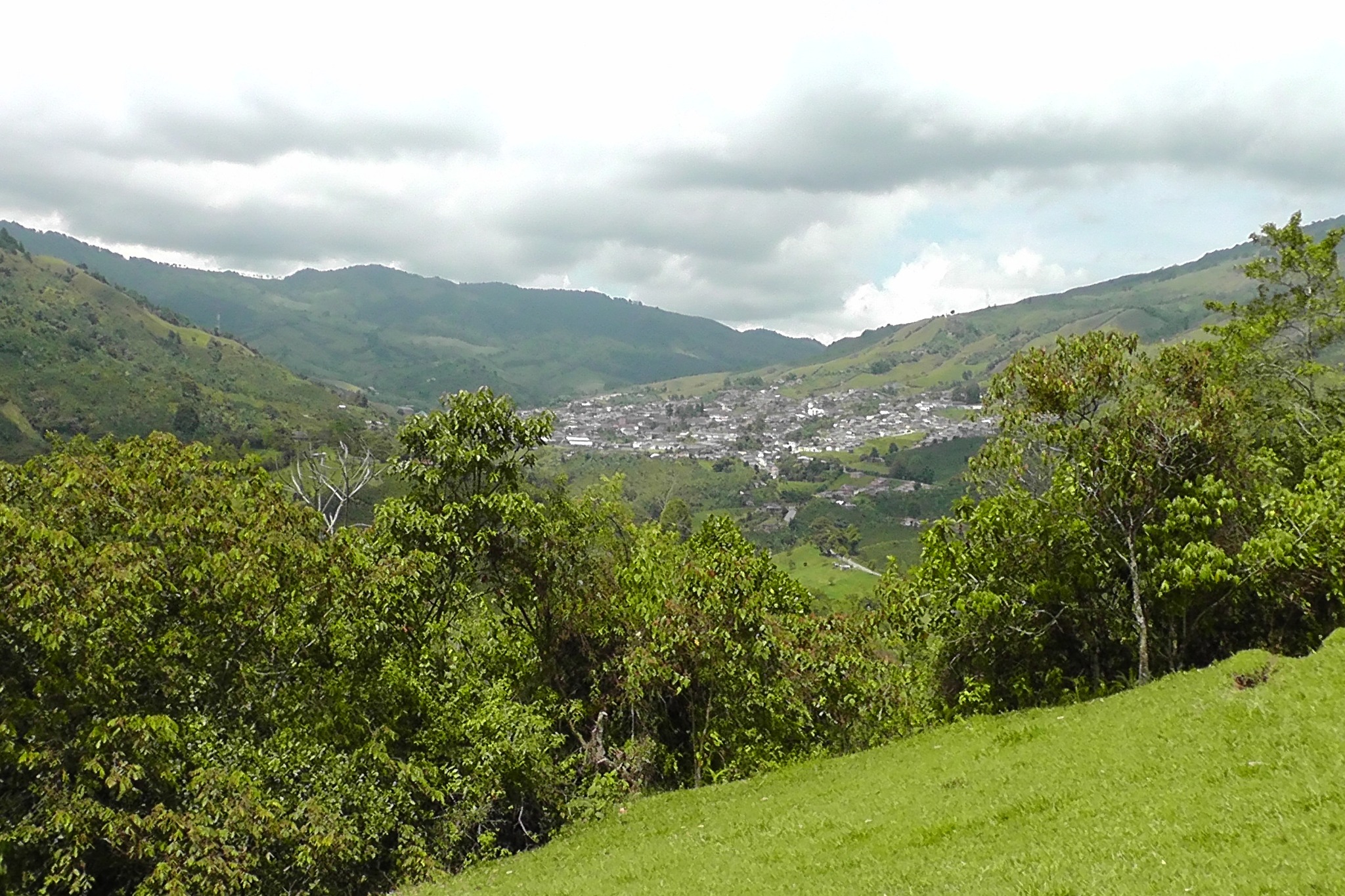 Alcaldía de Pácora - Caldas... - Alcaldía de Pácora - Caldas