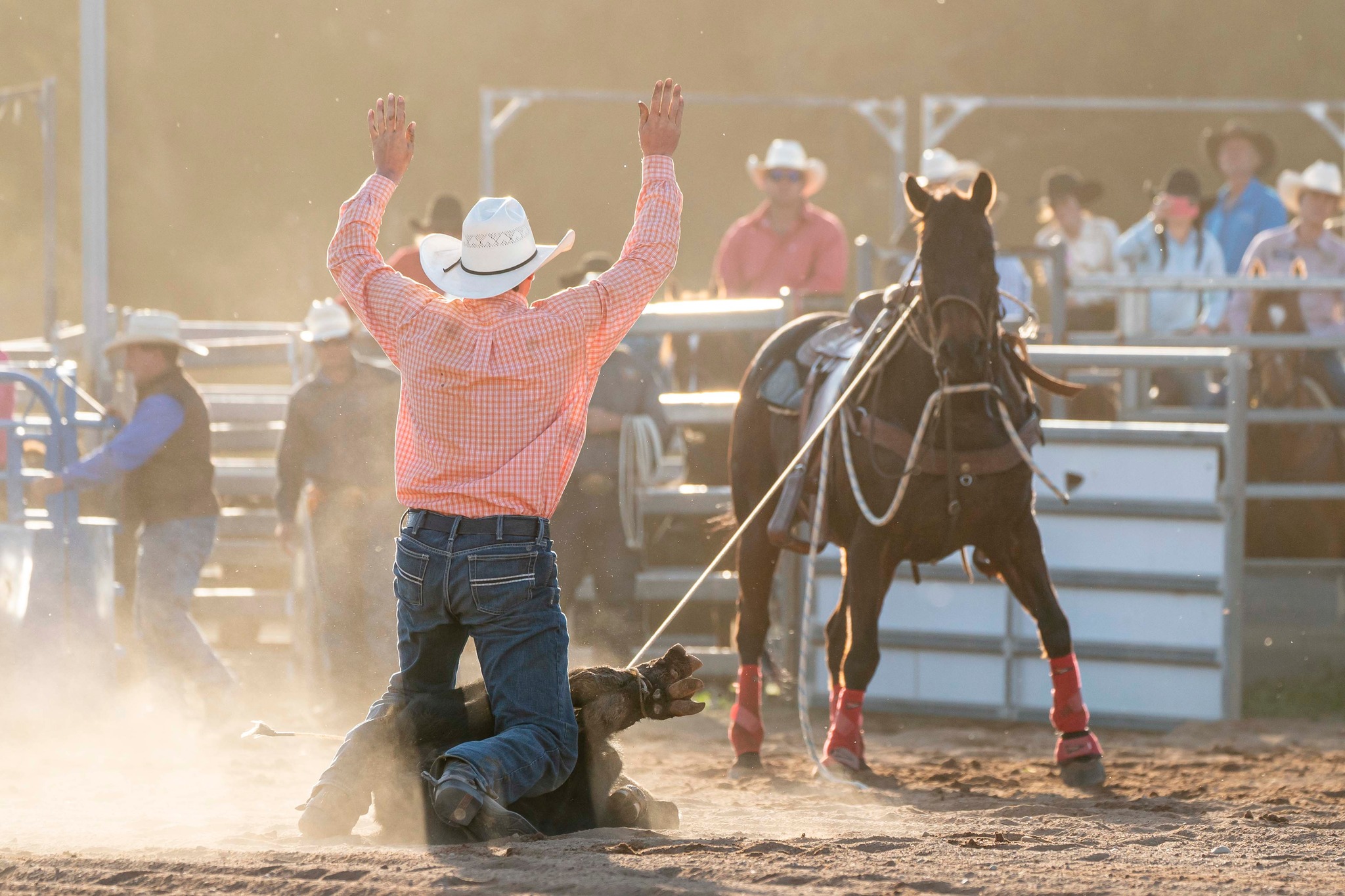 Gavin - All timed events from Geurie Rodeo Official Golden Spurs Rodeo ...