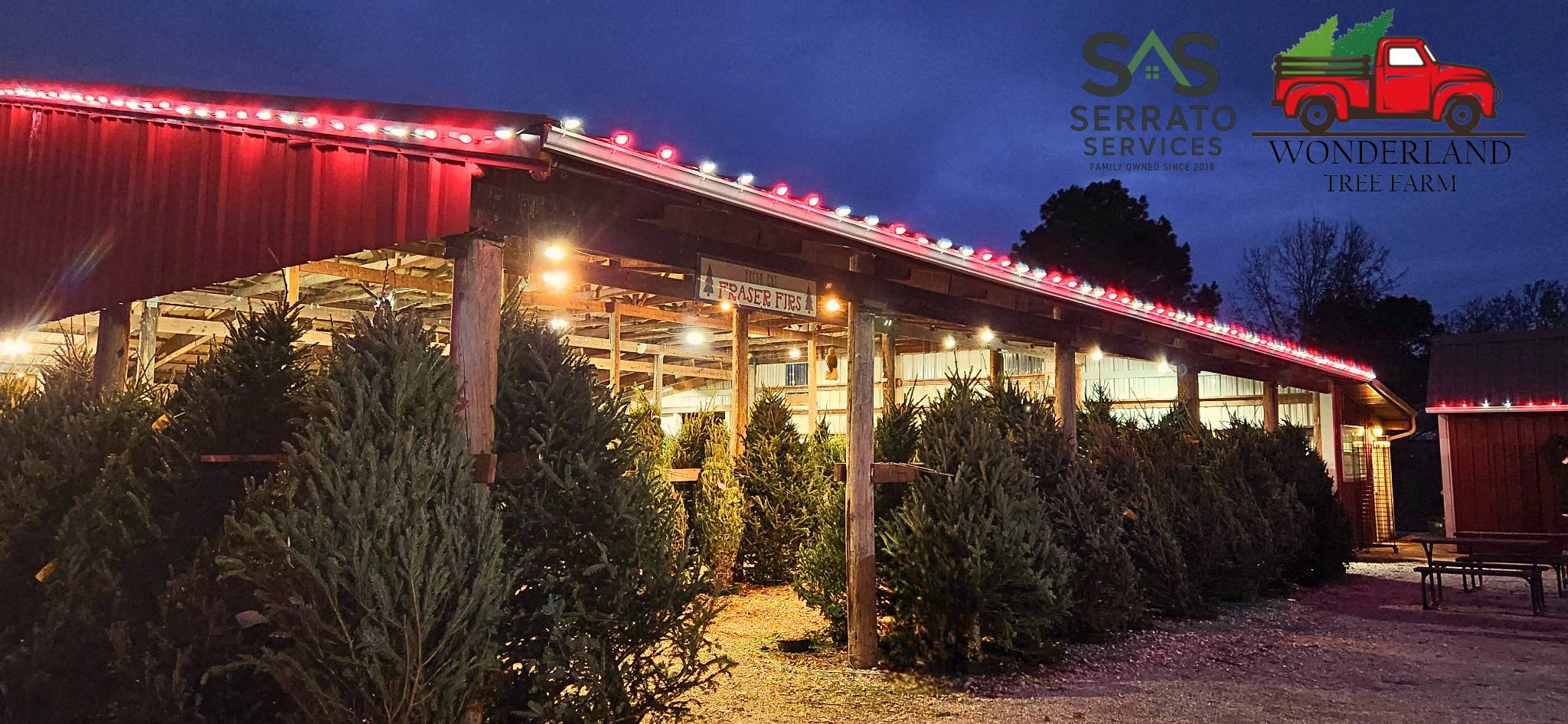 Wonderland Christmas Tree Farm | Pea Ridge AR