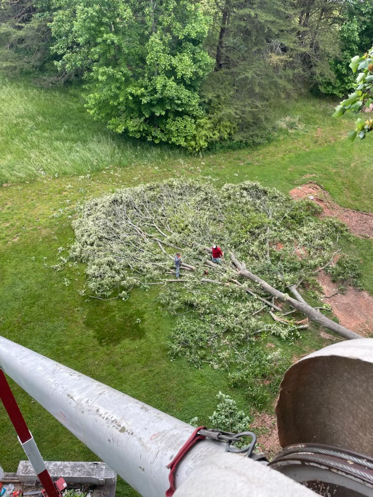 Precision Cut Tree Service | Dry Fork VA