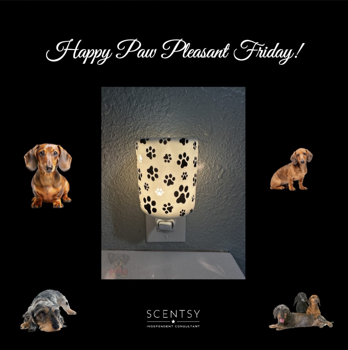 Trudy - Happy Friday! 🐾 If you're enjoying the weekend vibes with a ...