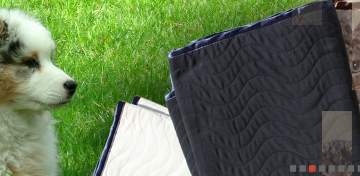 GIòPAD Tappetino Lavabile 75x140cm Extra Assorbente | Trattiene 2L/mq Per Cani E Roditori, Ecologico E Antiodore