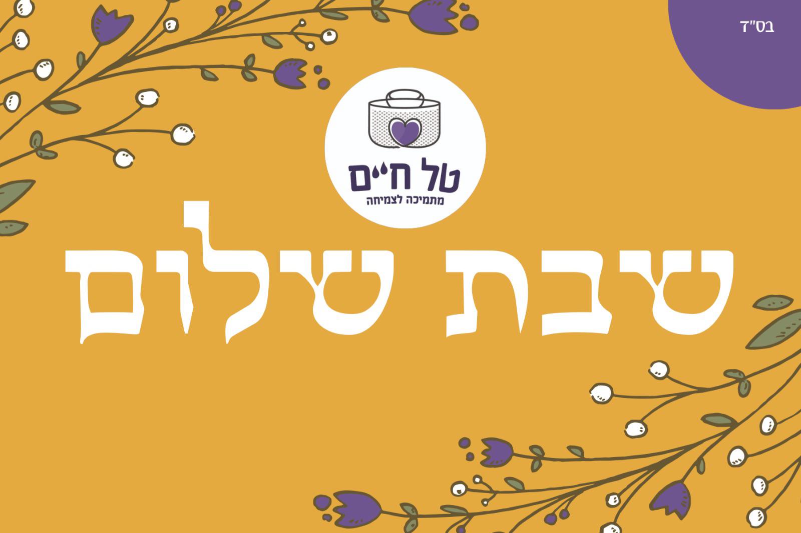 טל - שבת חזון, פרשת דברים🤍 ״כל המתאבל על ירושלים זוכה ורואה בשמחתה ...