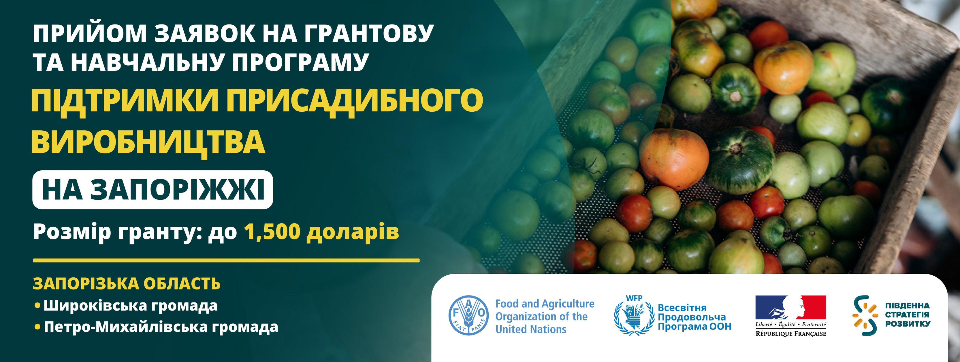 Південна стратегія розвитку Southern Development Strategy | Kyiv