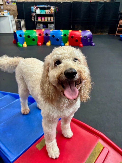 Mel had herself a day last week... - Live Like Roo Foundation | Facebook