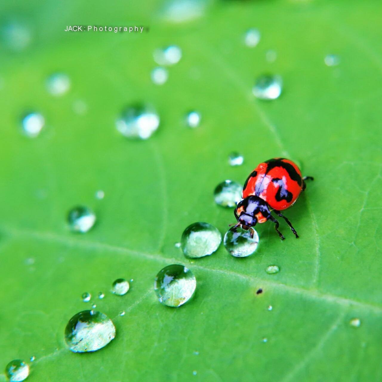 อุทยานแห่งชาติคลองลาน - พักดื่มน้ำ🐞🌿☘️อุทยานแห่งชาติคลองลาน - Khlong ...