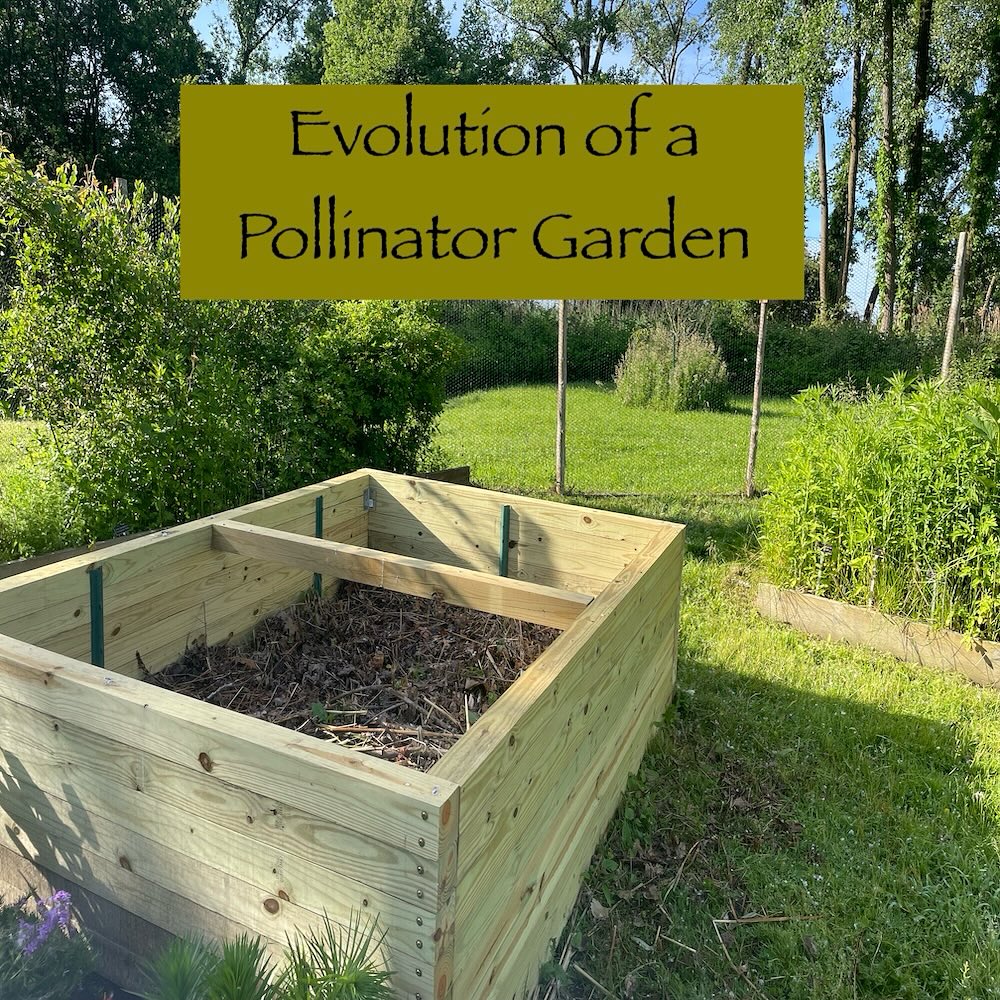 Pollinator... - Edith G. Read Wildlife Sanctuary, Rye NY | Facebook