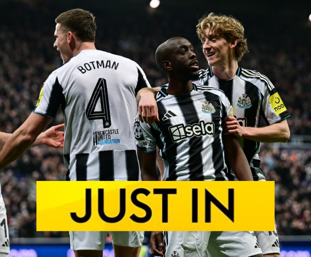SpursFanzone - NUFC working to stop goal machine from joining Spurs ...