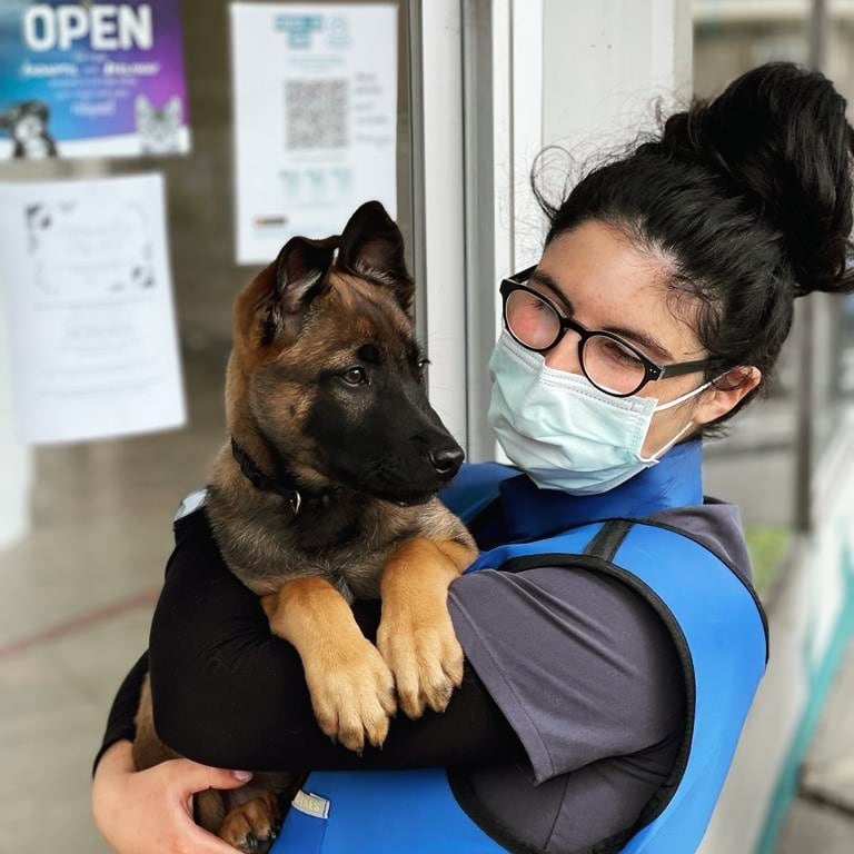 Darling Duro popped by for a quick... - Dr. Michelle Rassool