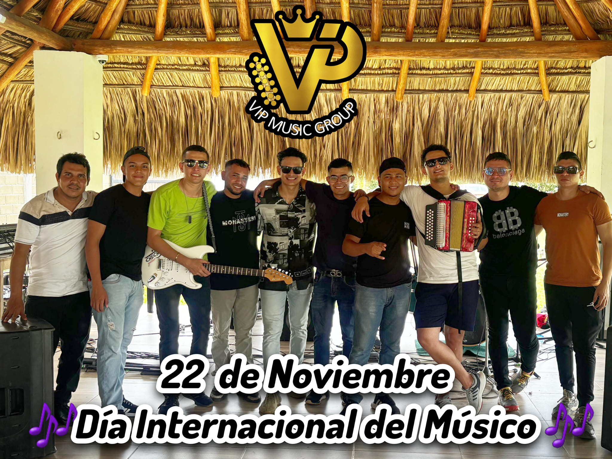 VIP-Music Group
