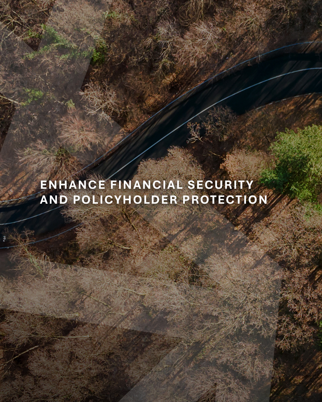 Alpha Insure | Bedfordview