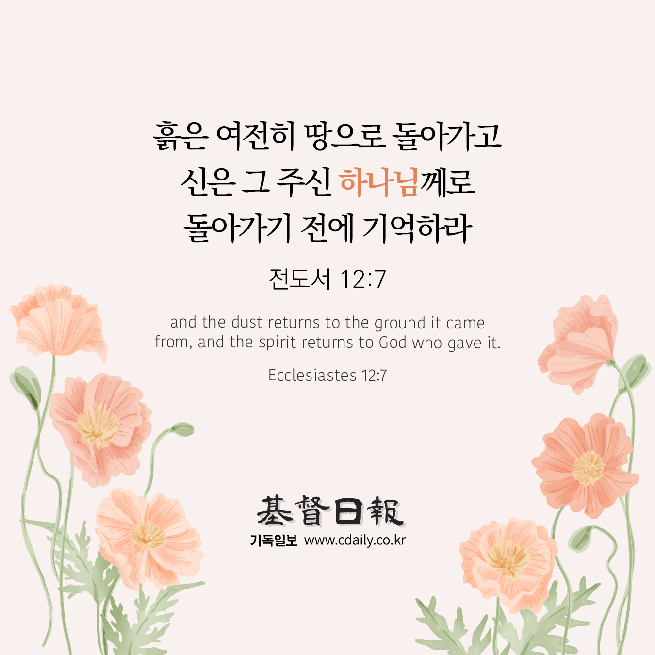 기독일보 - [매일 성구] 흙은 여전히 땅으로 돌아가고 신은 그 주신 하나님께로 돌아가기 전에 기억하라_전도서 12:7 ...