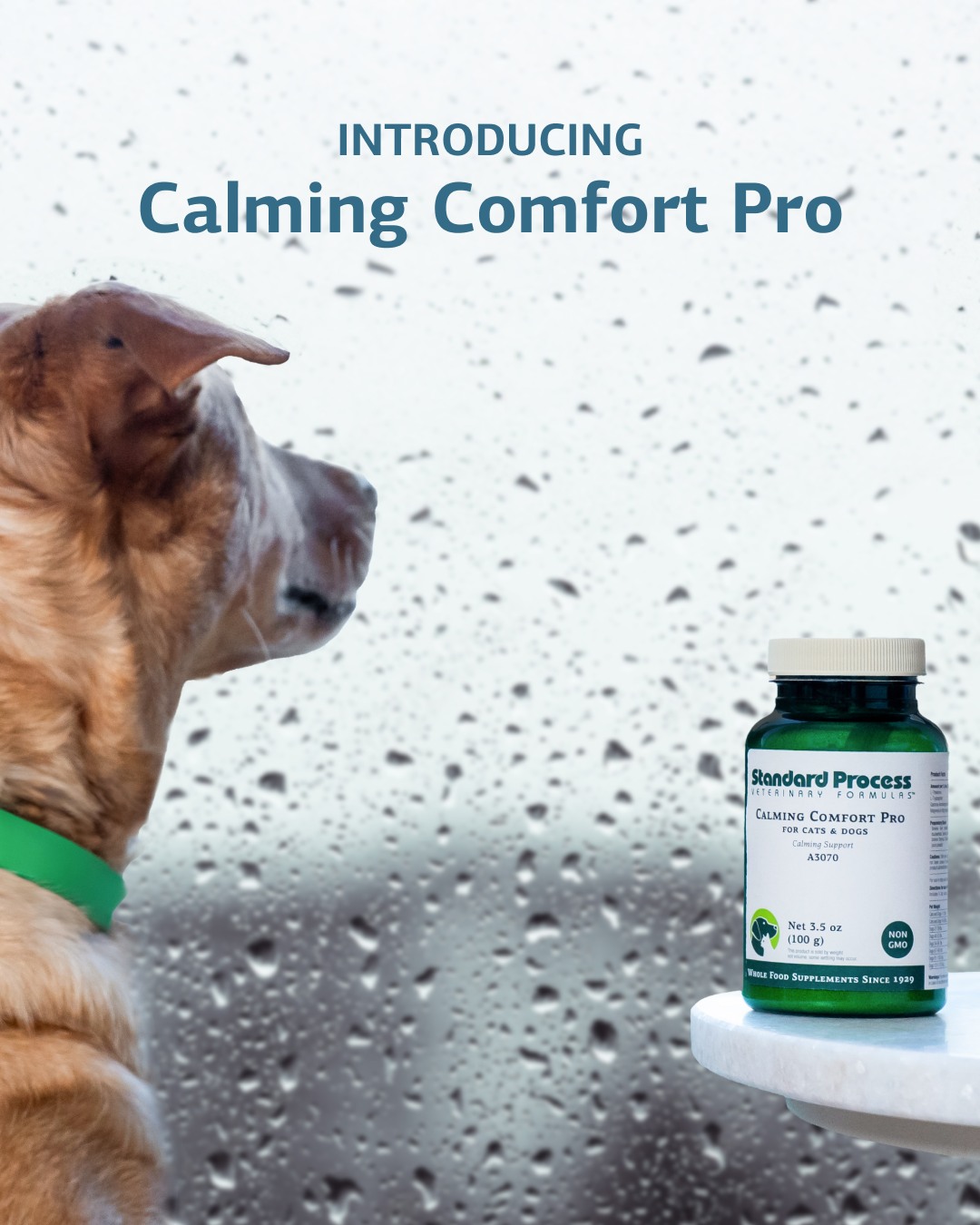 Introducing our all-new Calming... - Standard Process Inc. | Facebook