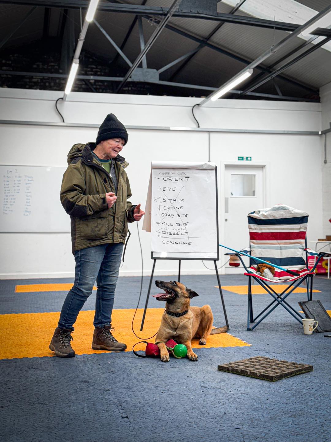 The Cumbrian Dog Trainer