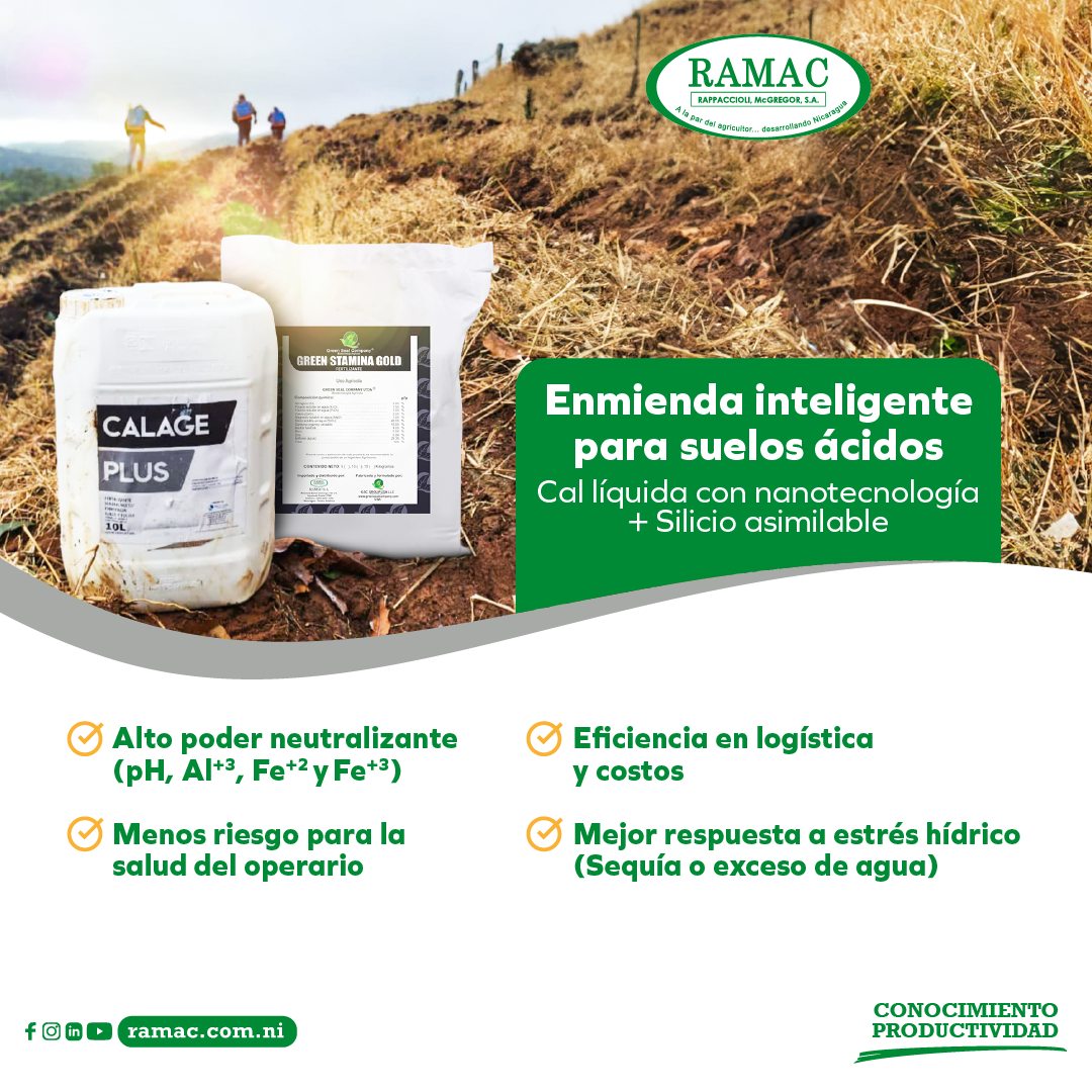 Rappaccioli McGregor - RAMAC | Managua
