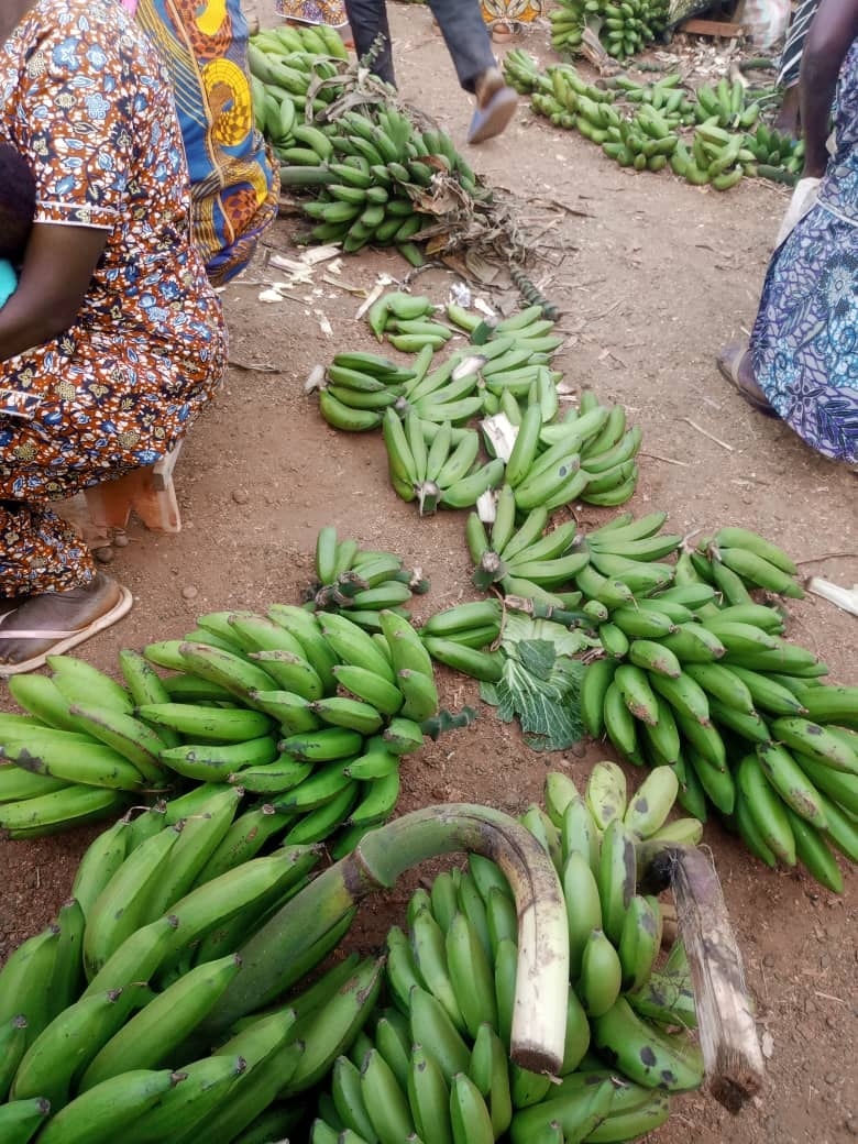 🍌 Ibiciro vy'ibitoke mu masoko yo mu... - Magazine Jimbere | Facebook