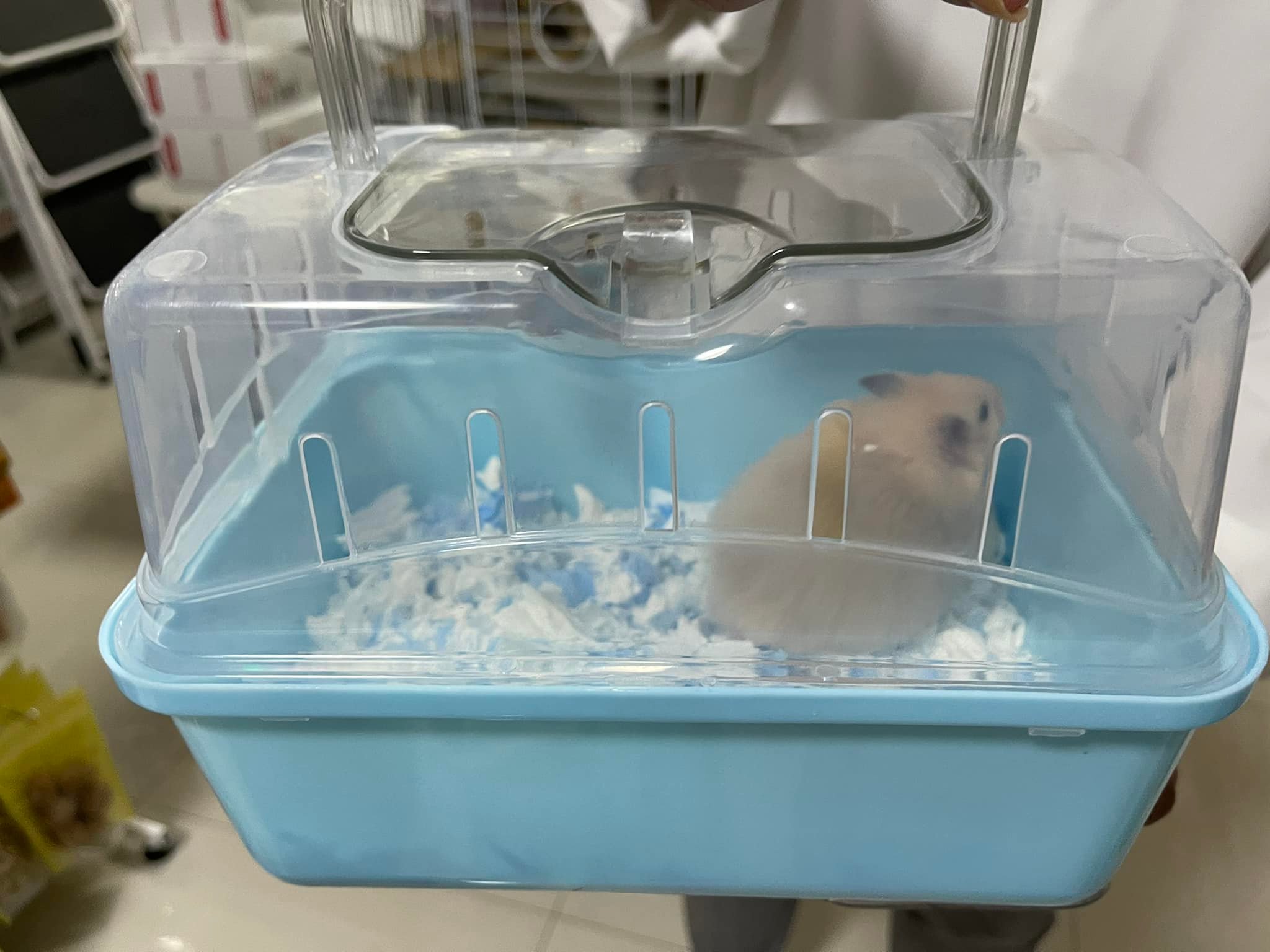 TOMO Hamster Farm โทโมะฟาร์ม