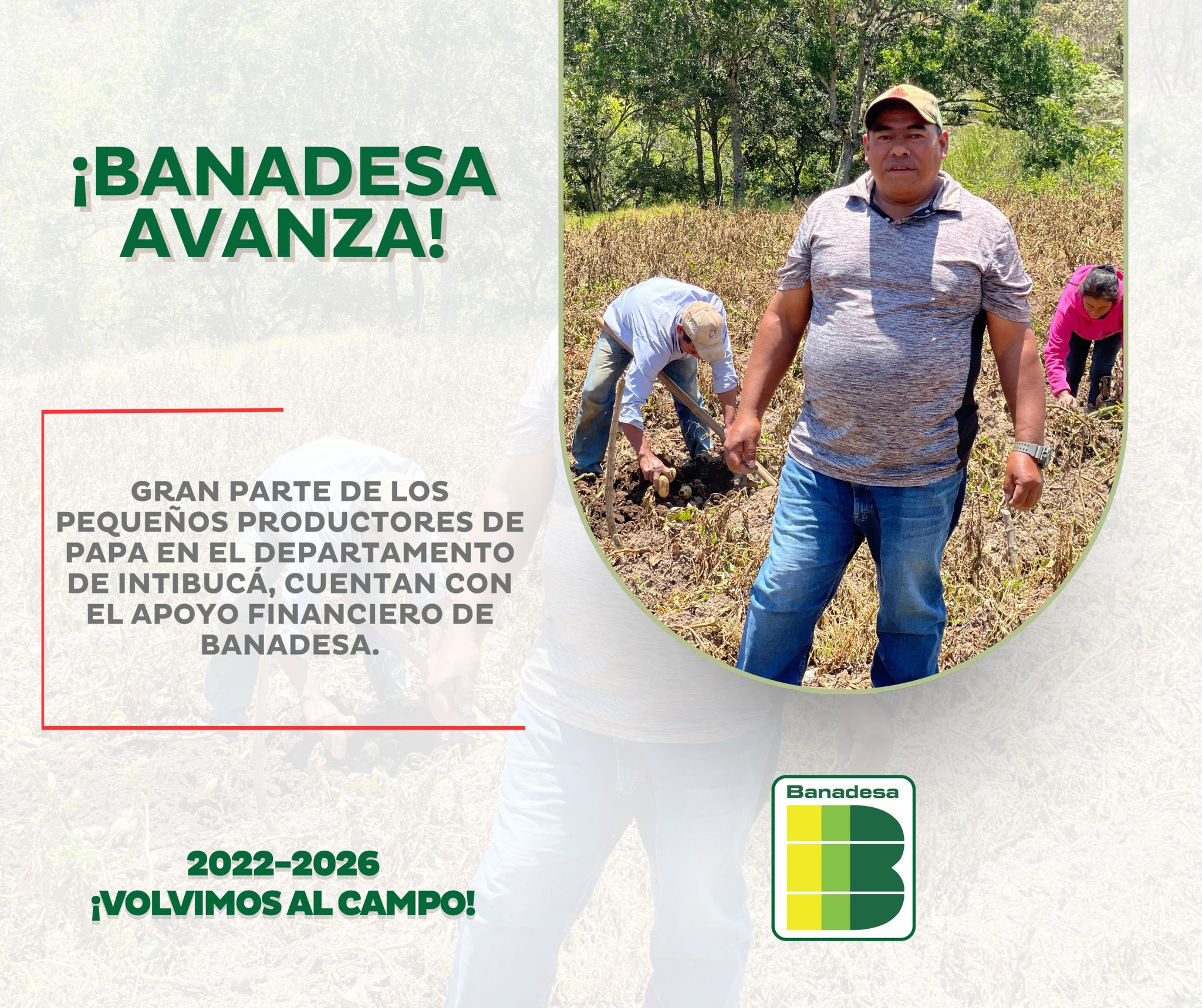 BANADESA - BANADESA added a new photo.