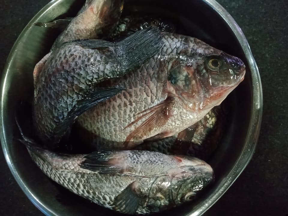 Samakika Fish Palace - Home