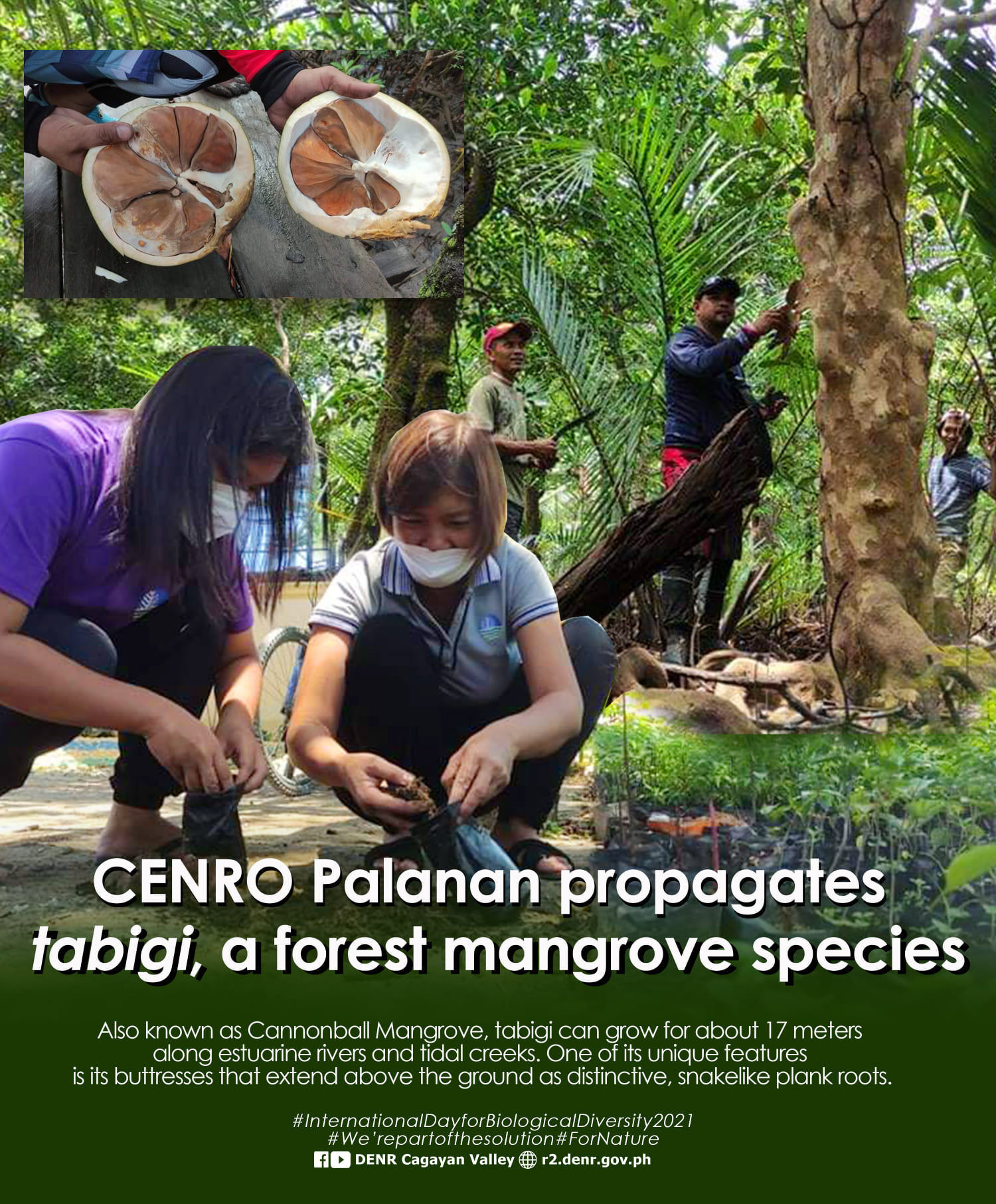 DENR Cagayan Valley - LOOK: Personnel of the Community Environment and ...