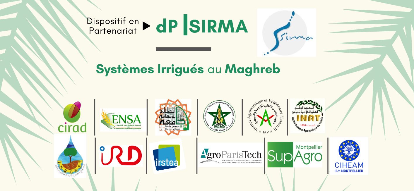 DP SIRMA
