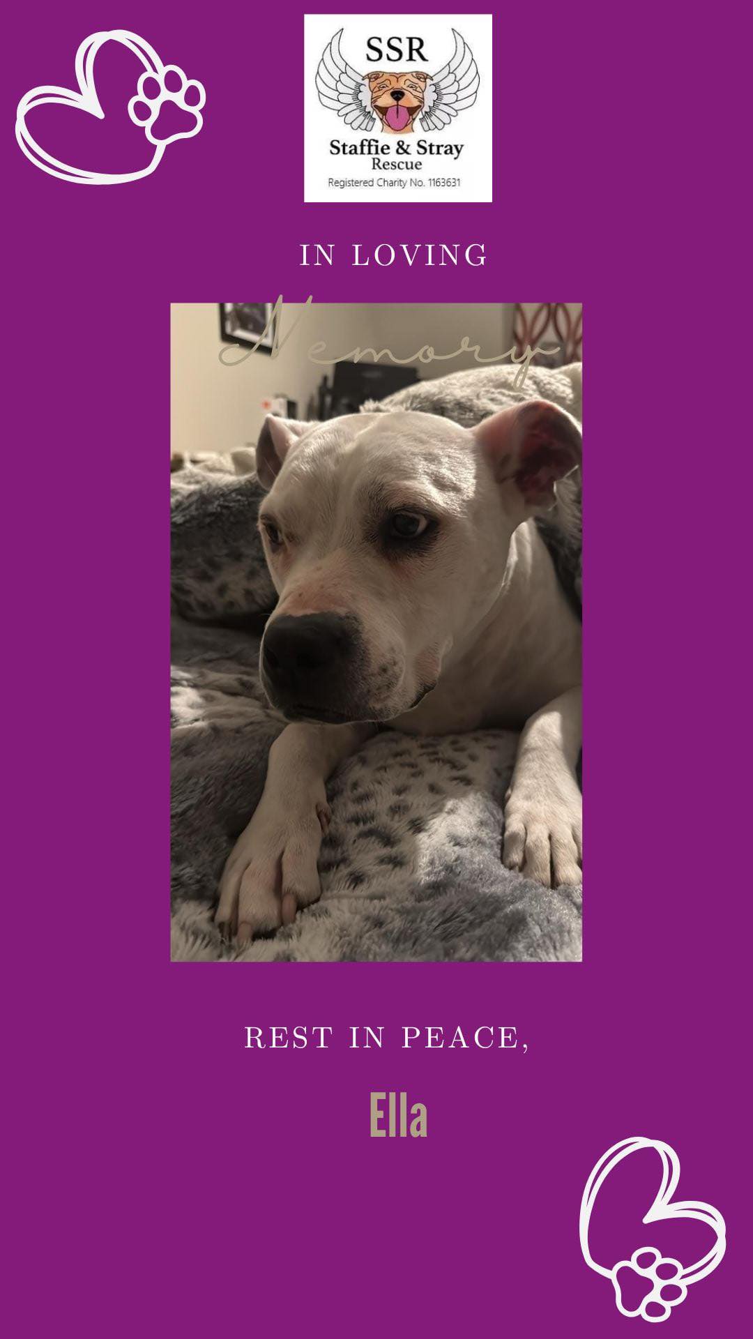 We are saddened to hear of the... - Staffie and Stray Rescue | Facebook