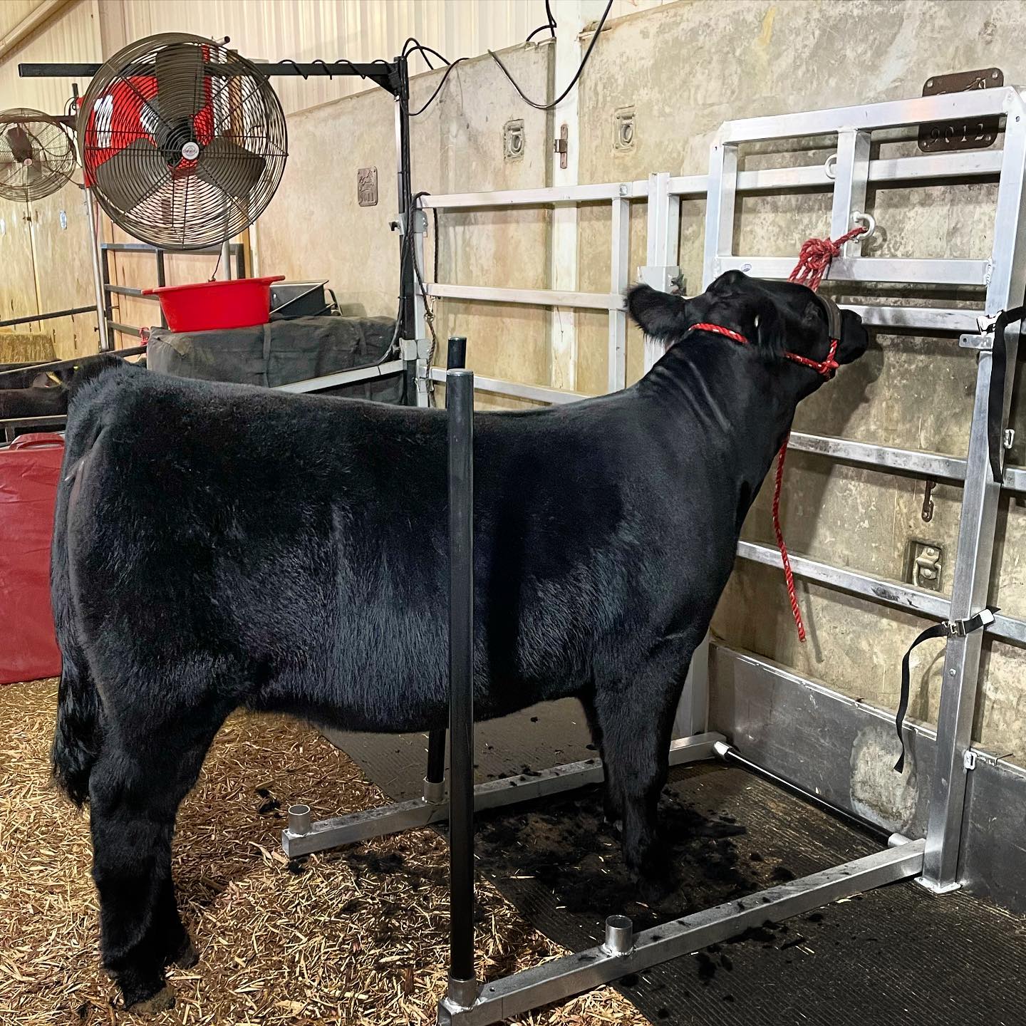 Sanders & Sons Livestock | Huntington TX
