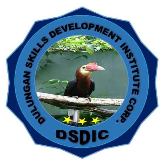 DulunganSkills Devt Inst Corp