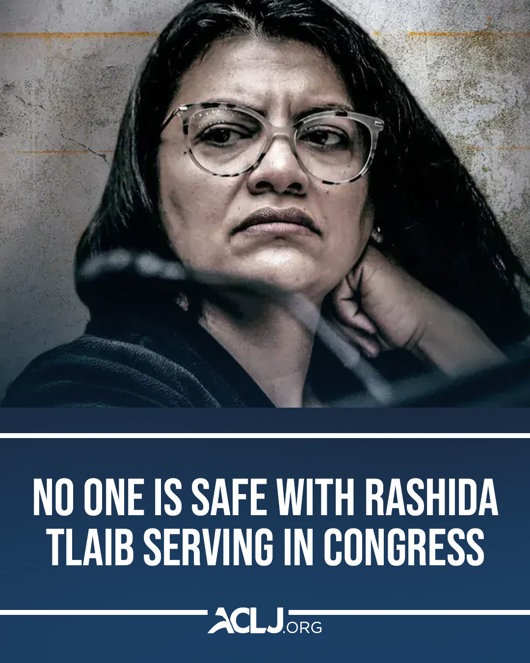ACLJ - Rep. Rashida Tlaib fuels Islamic radicals, antisemitism, and ...