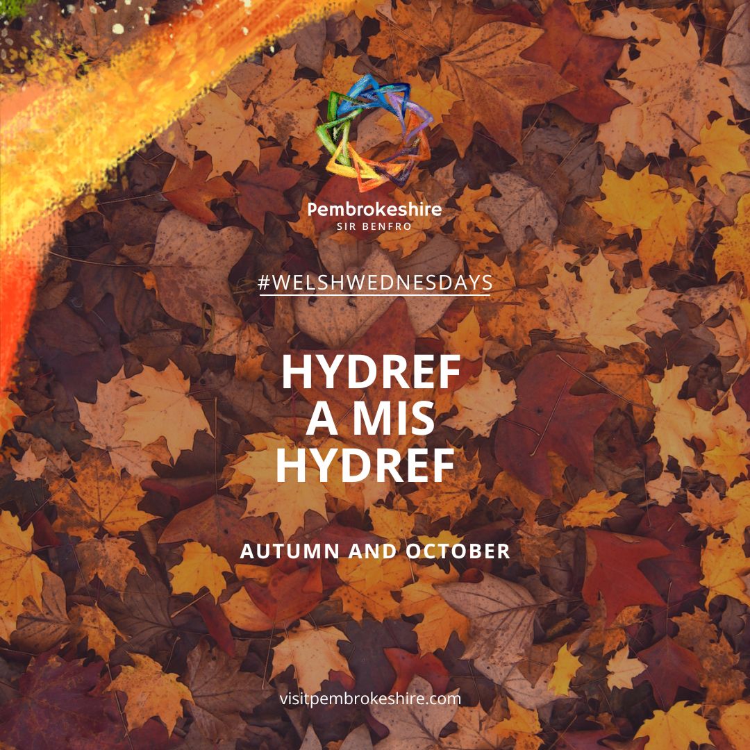 🍂 Welsh Wednesday: Celebrating... - Visit Pembrokeshire | Facebook