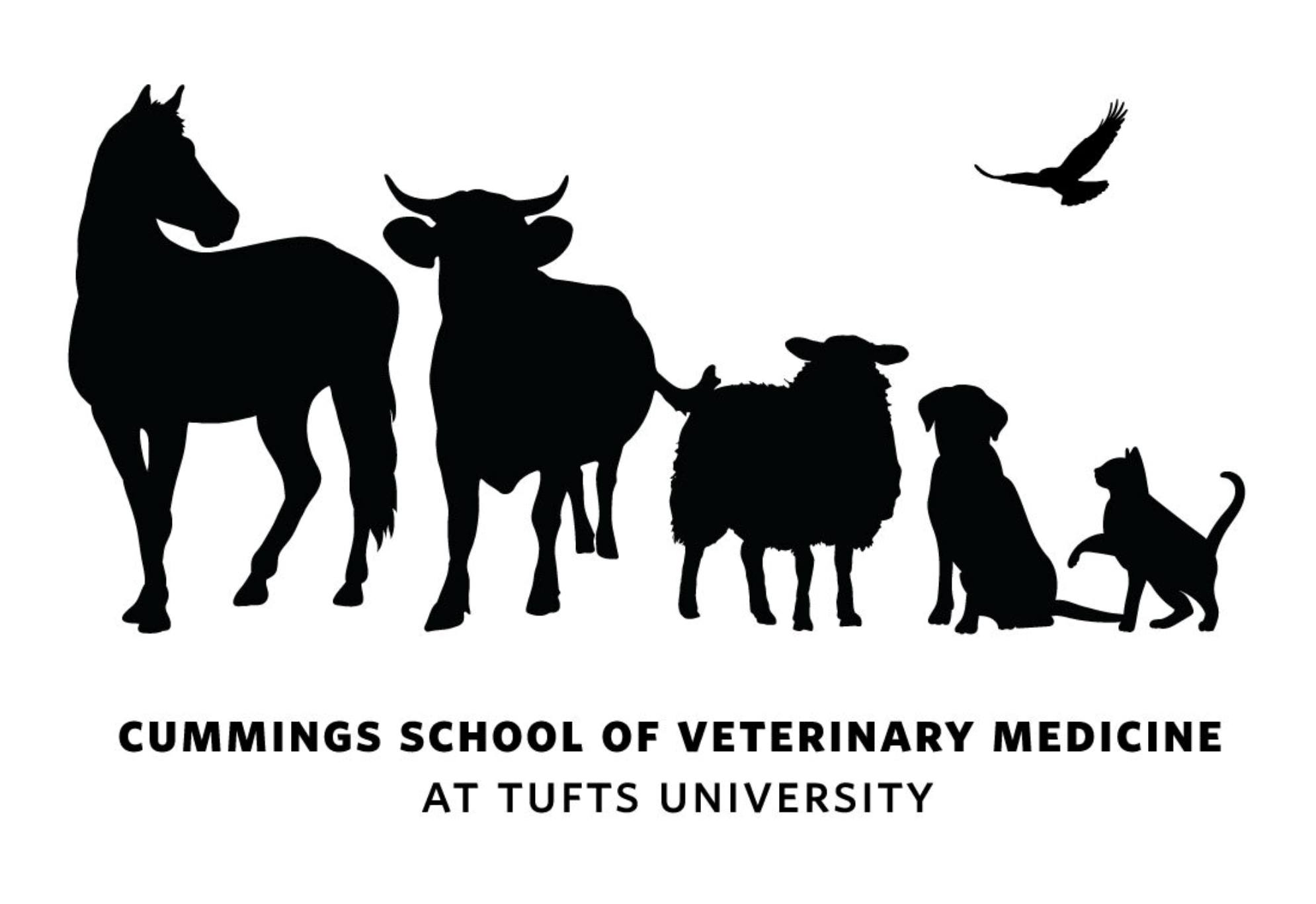 Supervisory roles available at Tufts (North Grafton, MA): Cummings ...