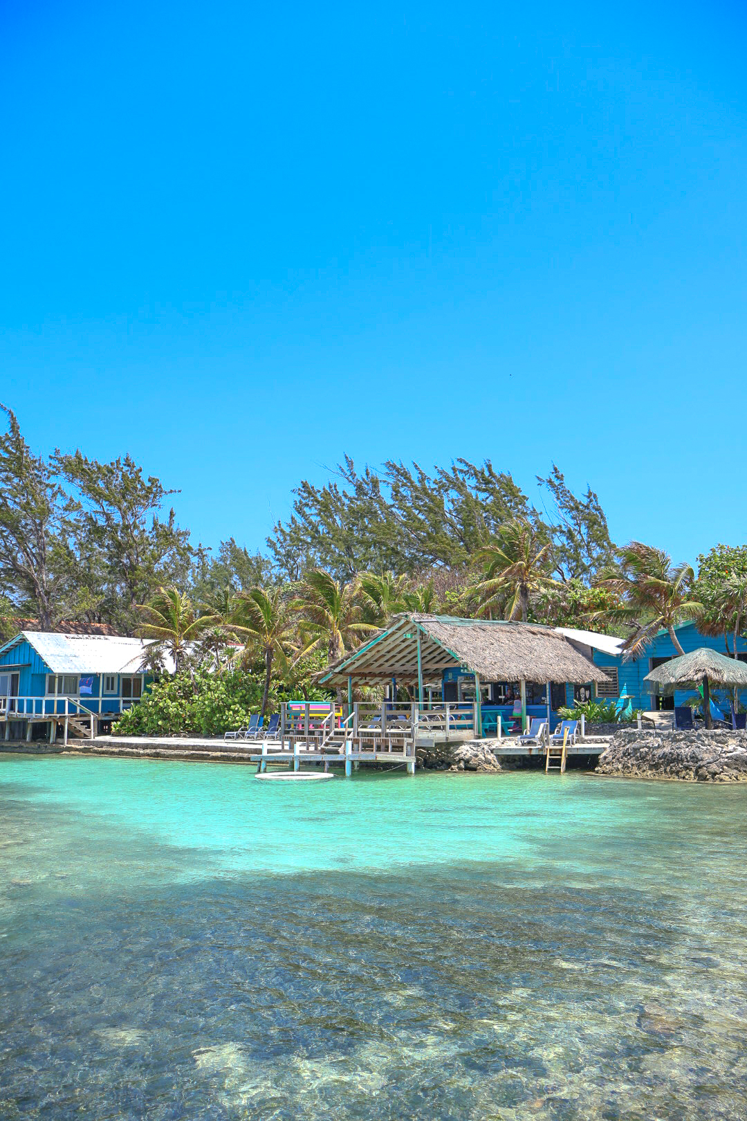 The Reef - Since 1972, The Reef House has been a true hidden gem in Oak ...