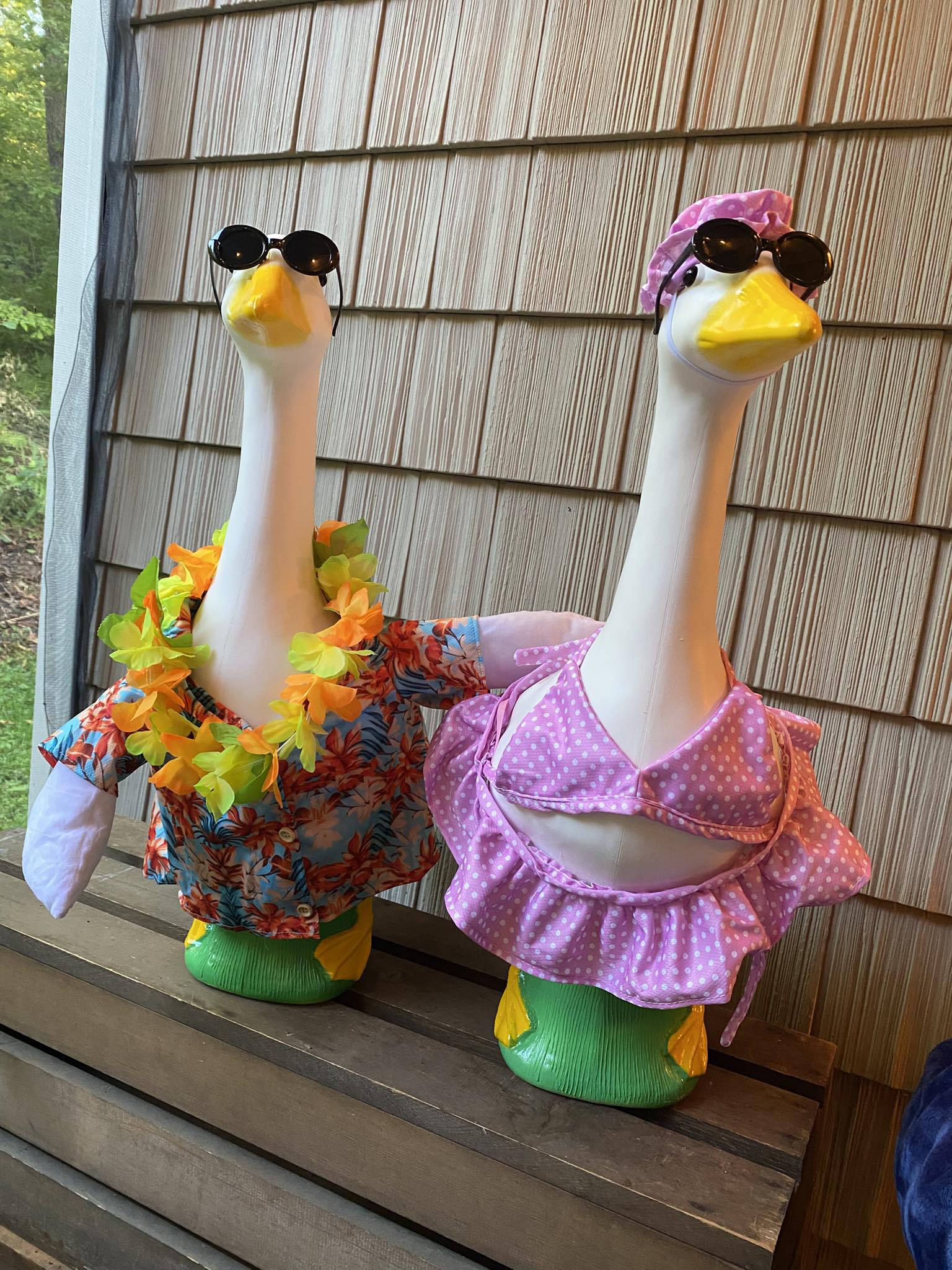 The Porch Goose Club of America | First time poster | Facebook