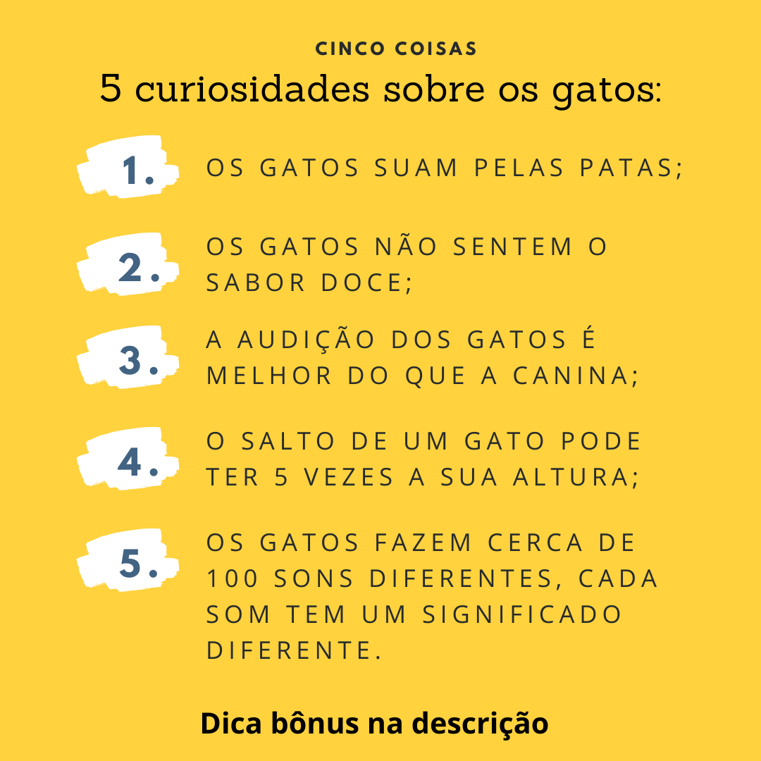Loja Surigato - Confira essas 5 curiosidades que separamos para você ...