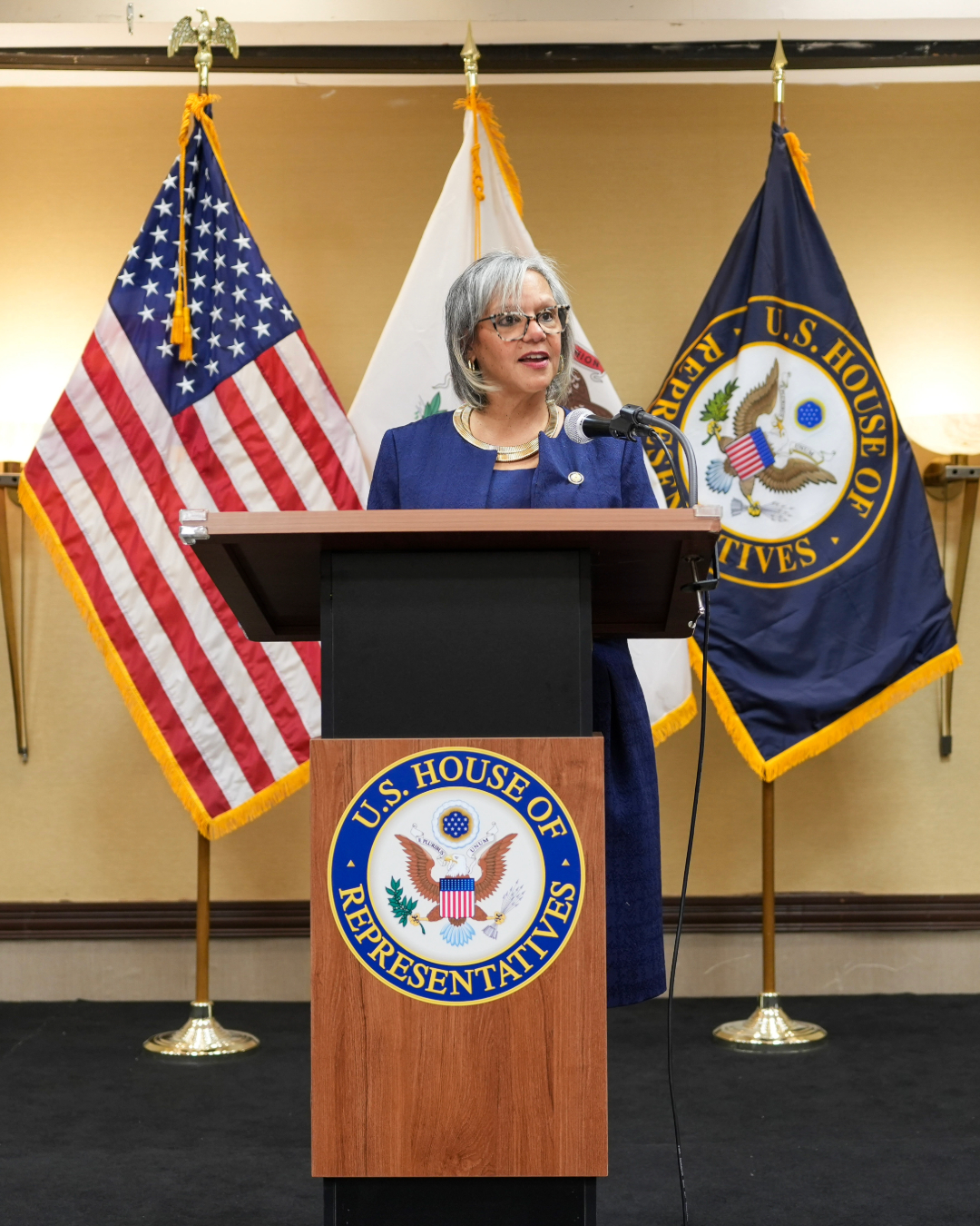 Robin Kelly - Last night, I was sworn in to the 119th... | Facebook
