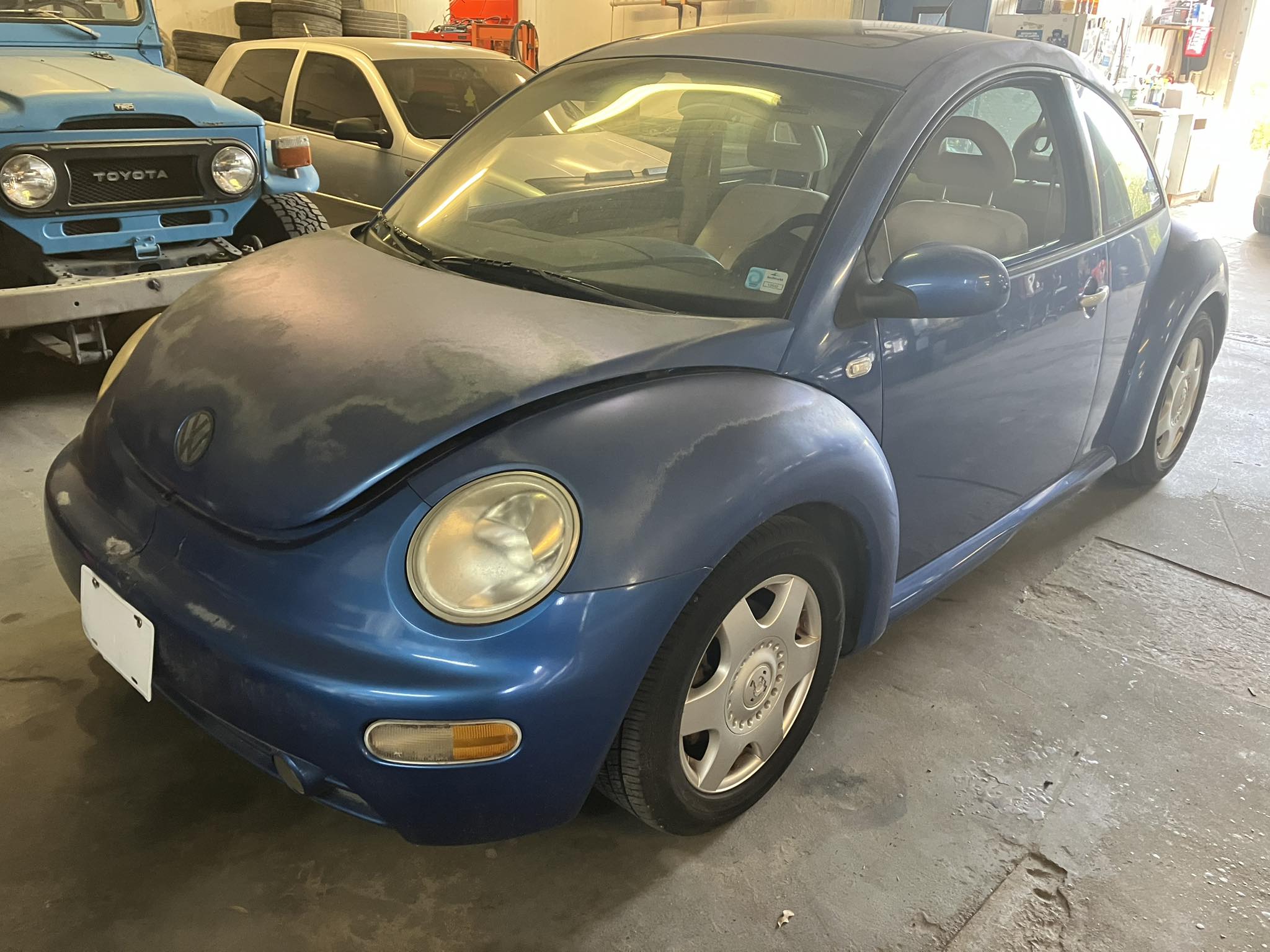 Jason's Bug Ranch | Winter Garden FL