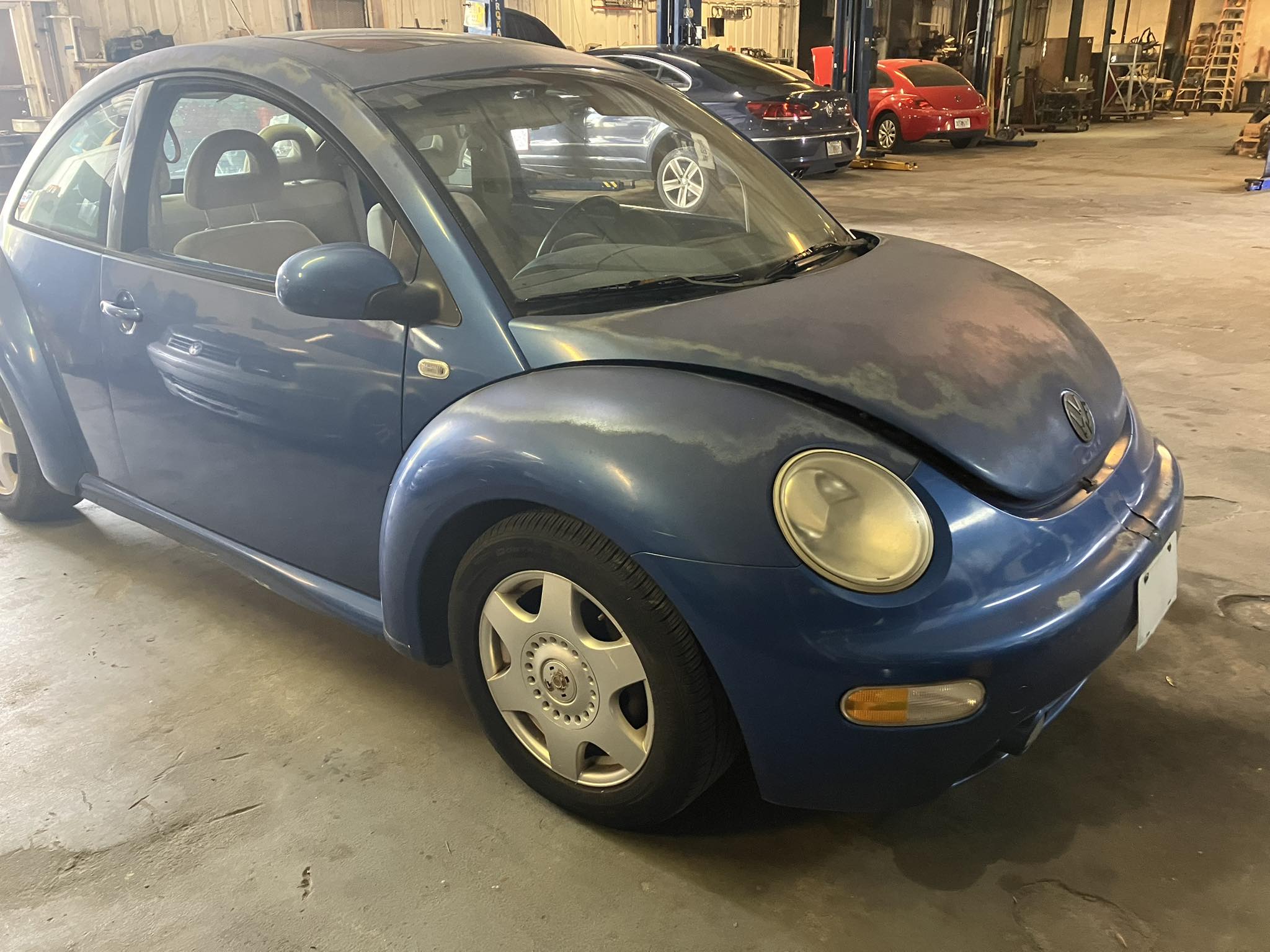 Jason's Bug Ranch | Winter Garden FL