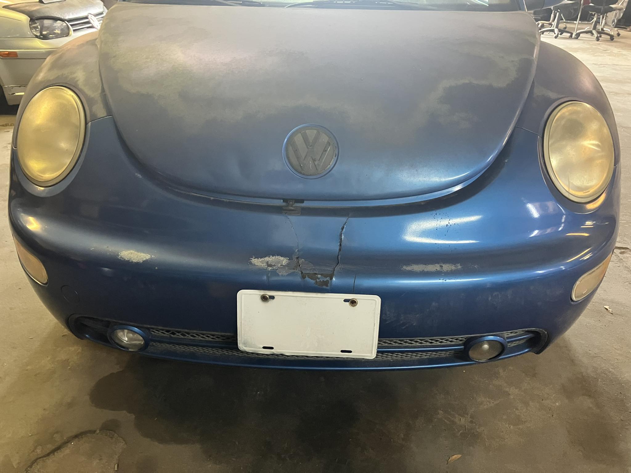 Jason's Bug Ranch | Winter Garden FL