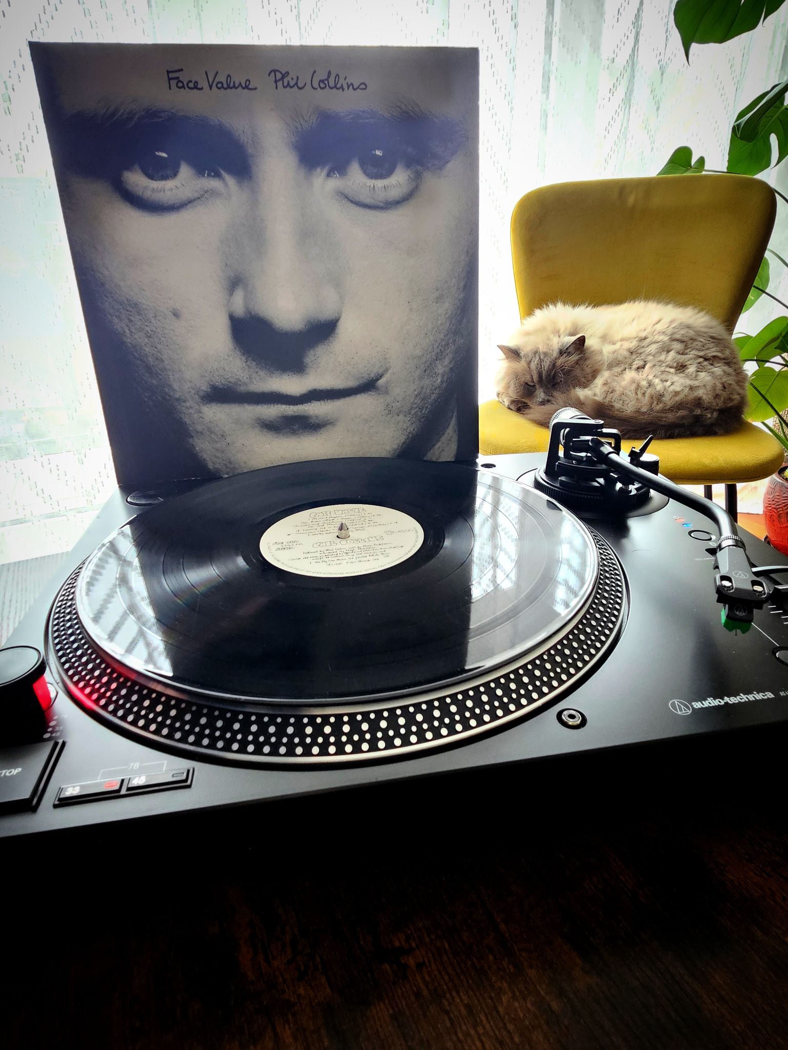 Face Value - Phil Collins ( 1981 )