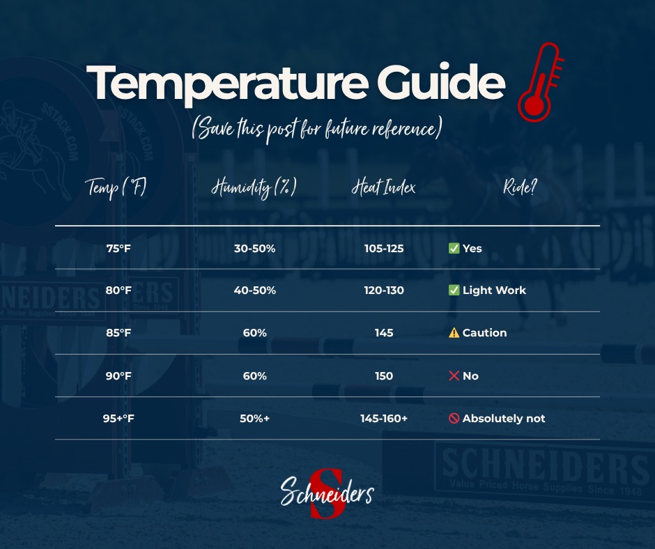 Schneider - ☀️ Too Hot to Trot? Here’s When to Skip the Saddle! 🐴 When ...